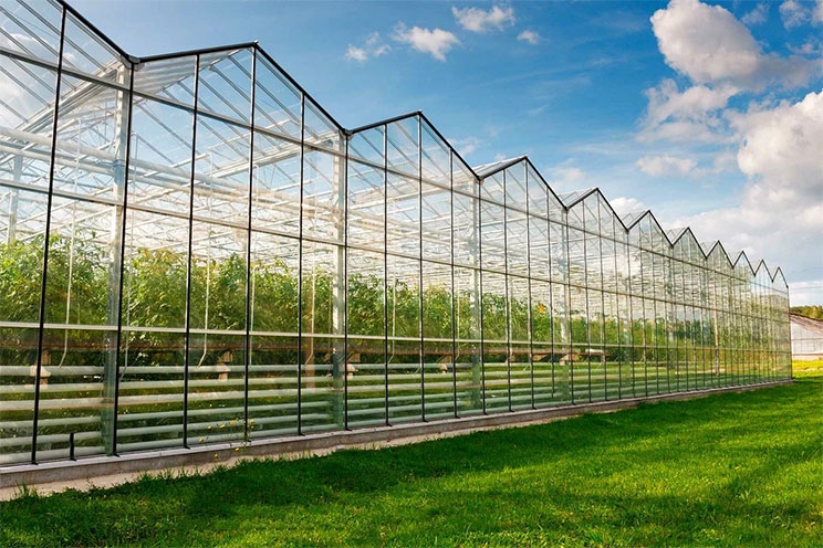  Construction and Sale of Greenhouse Complexes